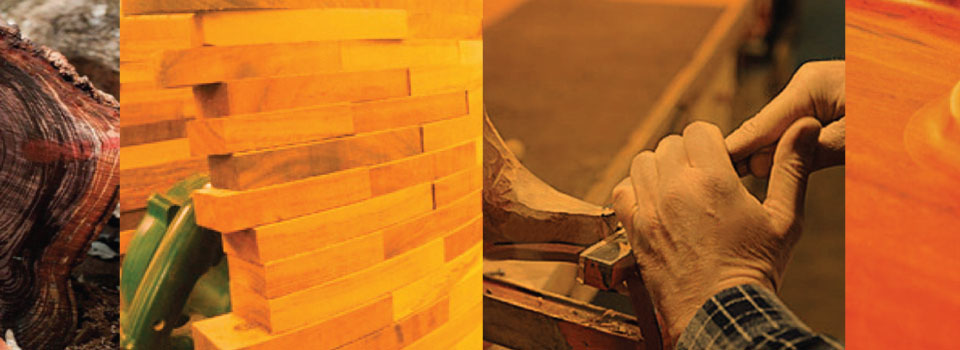 3354024slides_960x350_marcucci_01